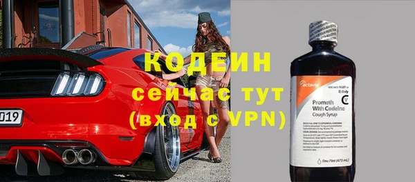 индика Майский