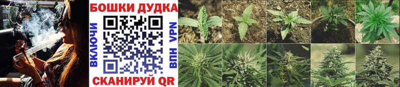 Каннабис AK-47  где найти   ссылка на мегу tor  Урень 